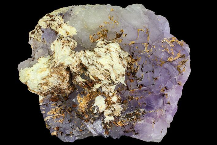 Purple, Cubic, Fluorite with Barite ( lbs) - Morocco #110563